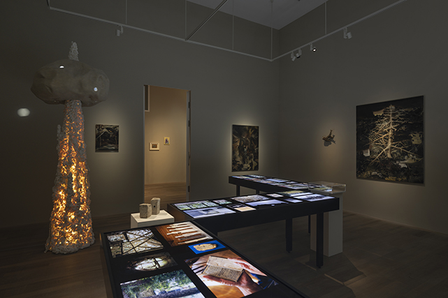 MuseeJenisch-EmmanuelleAntille-JulienGremaud-020R-web.jpg