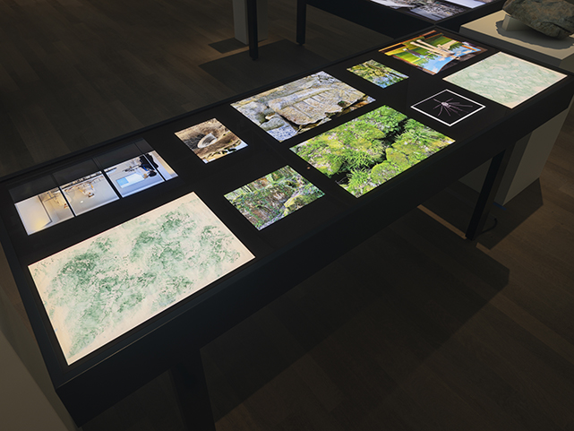 MuseeJenisch-EmmanuelleAntille-JulienGremaud-043-web.jpg