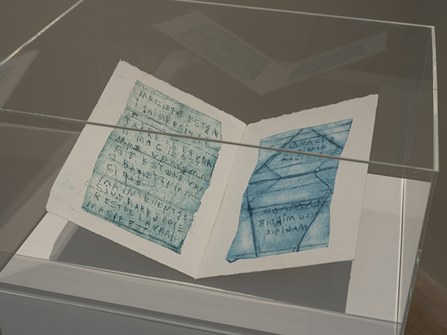 MuseeJenisch-EmmanuelleAntille-JulienGremaud-049-web.jpg