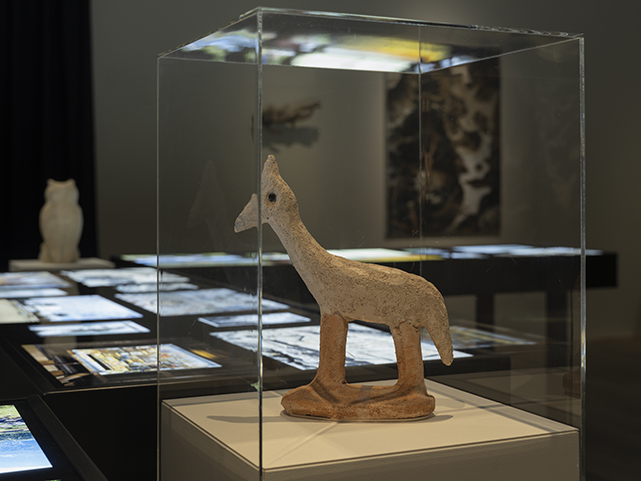 MuseeJenisch-EmmanuelleAntille-JulienGremaud-051-web.jpg
